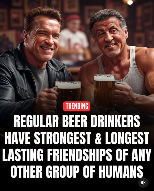 🍺 Beer Bros: Why Regular Beer Drinkers Have Friendships Stronger Than Wi-Fi